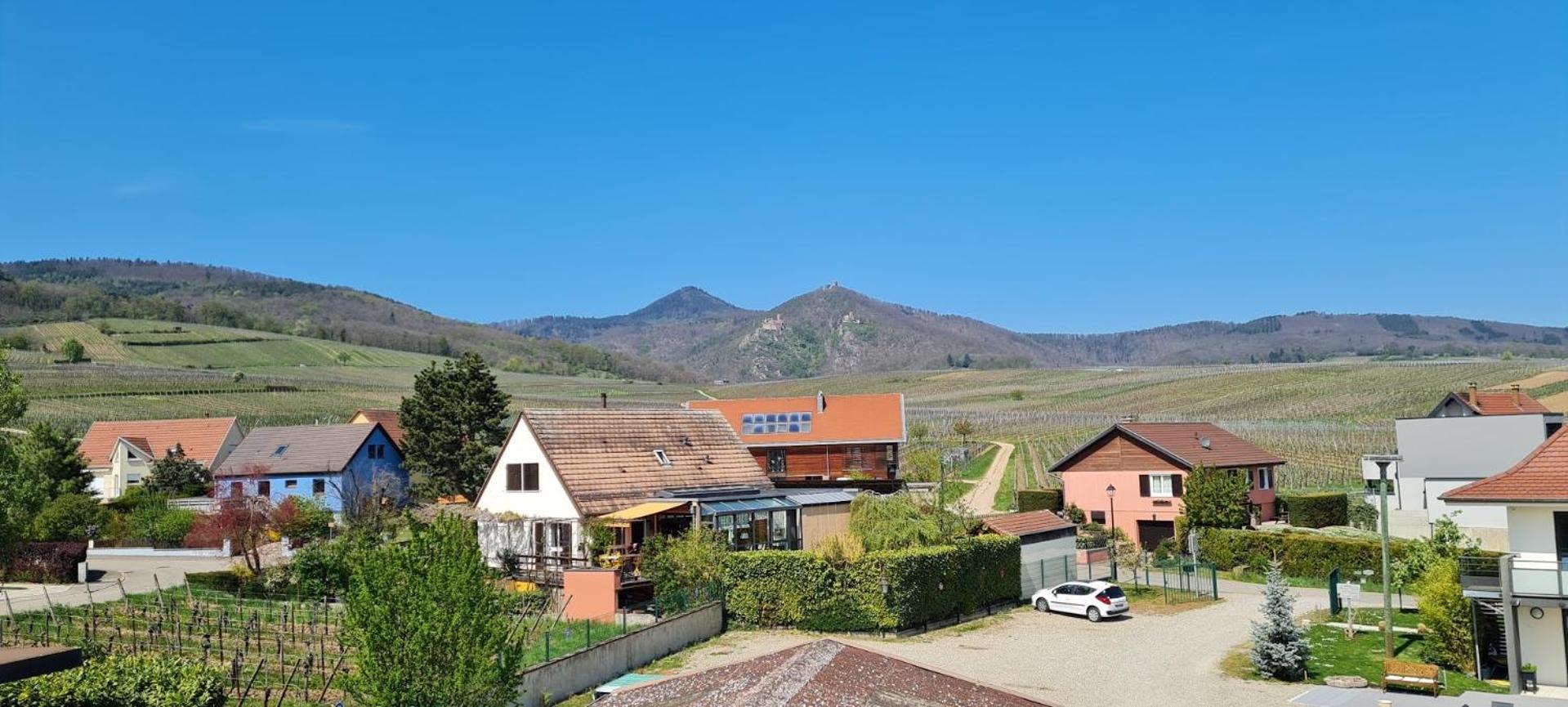 Maison d'hôtes Sainte Hune Appartements Hunawihr Quarto foto
